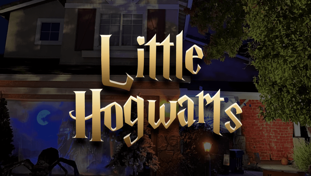 Feature image for A magical experience