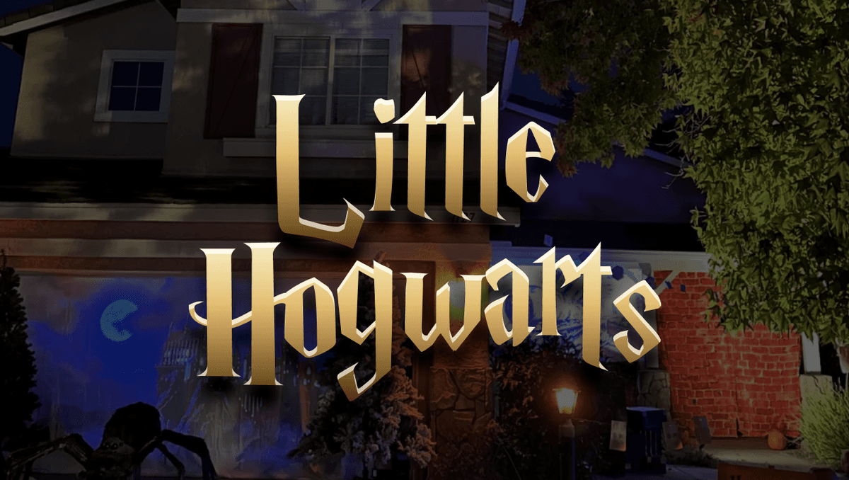 Featured image for A magical experience