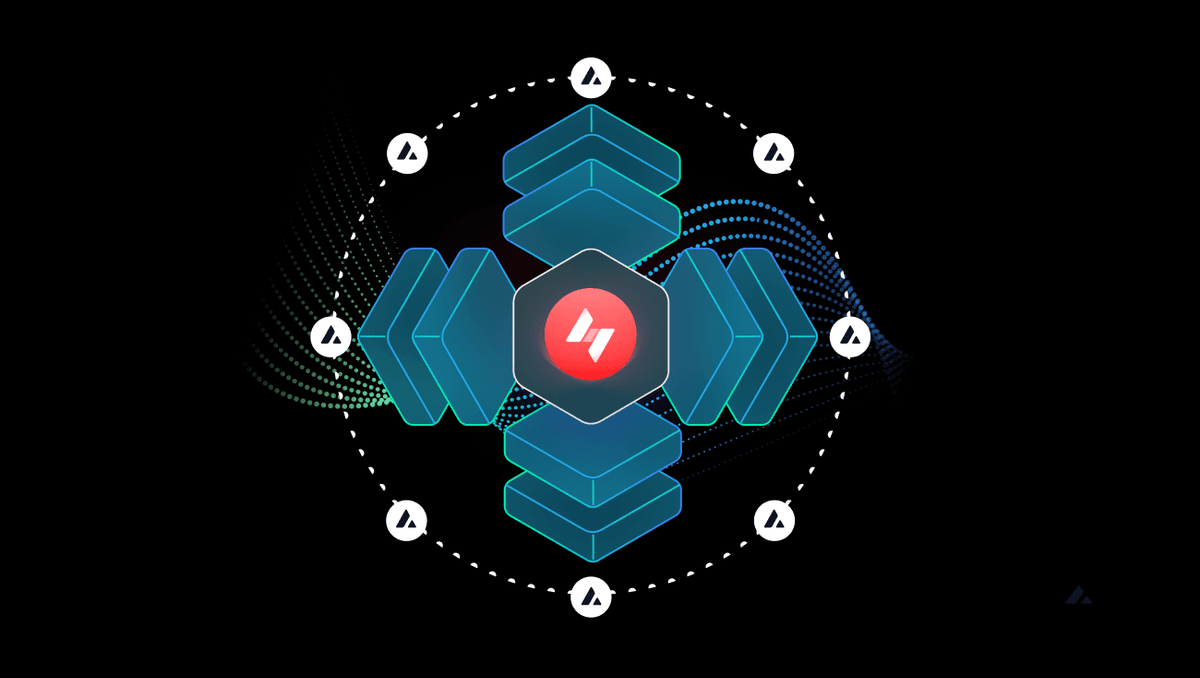 Featured image for Hypha Marketing Images