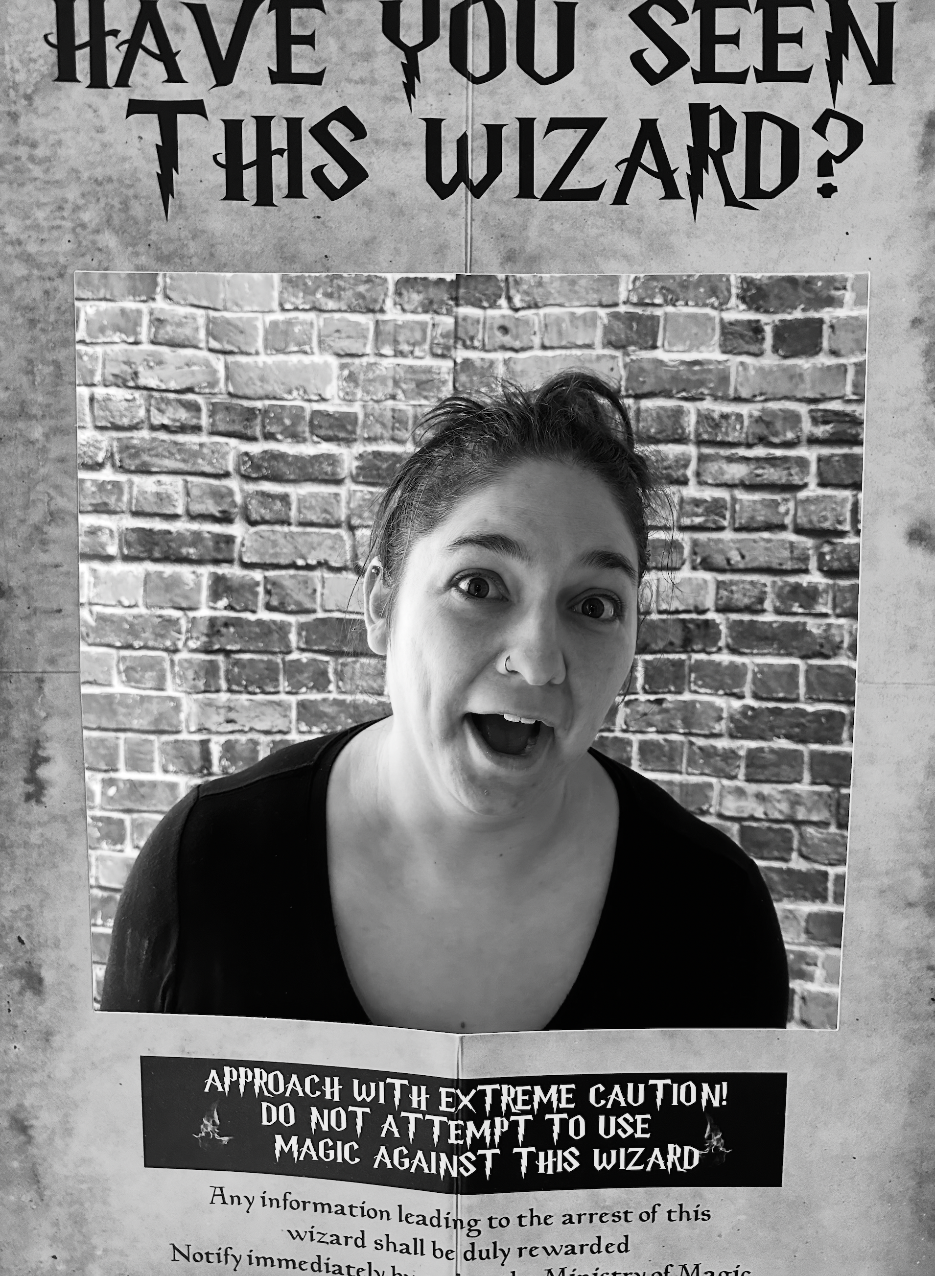 Aragog interaction timeline